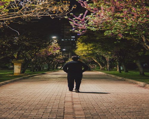Person taking a slow evening walk in a park