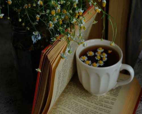 A quiet cup of tea reading a book